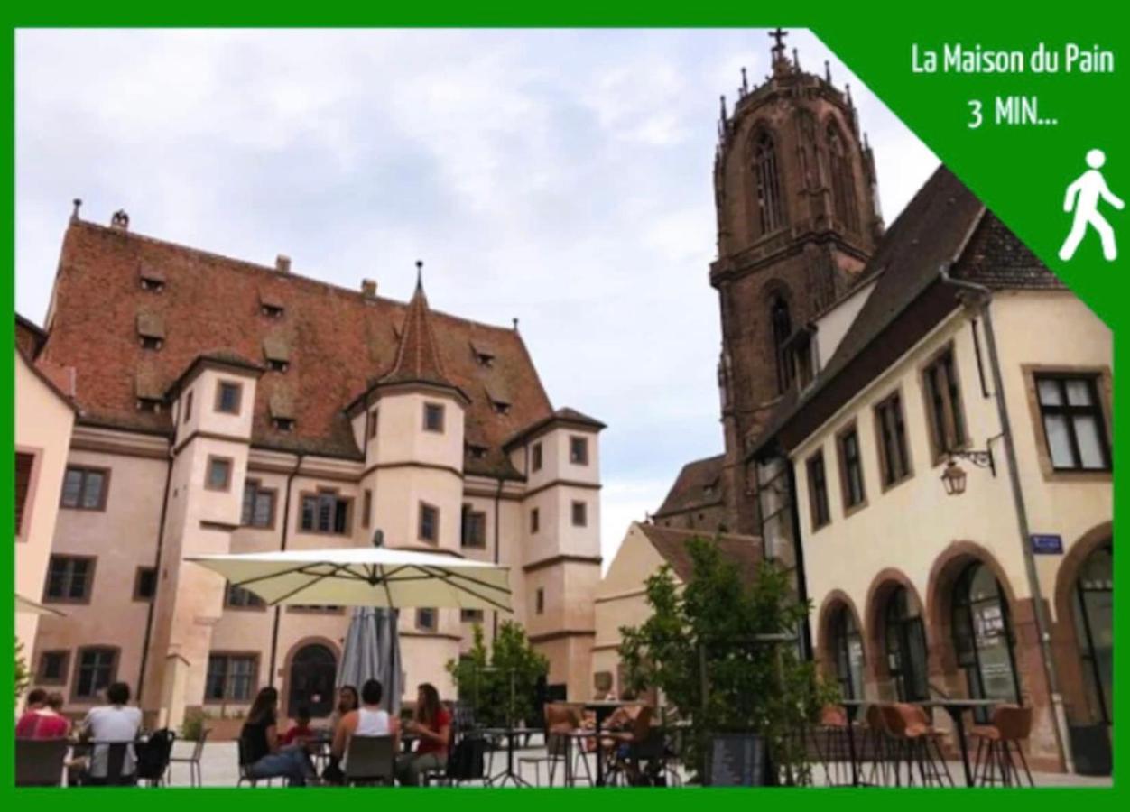 La Parenthese Alsacienne Au Coeur De Selestat Apartment Exterior photo